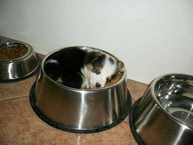 Morning Picdump