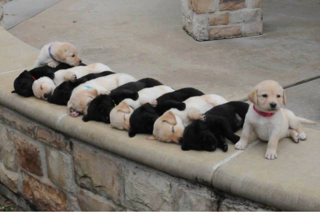 Morning Picdump