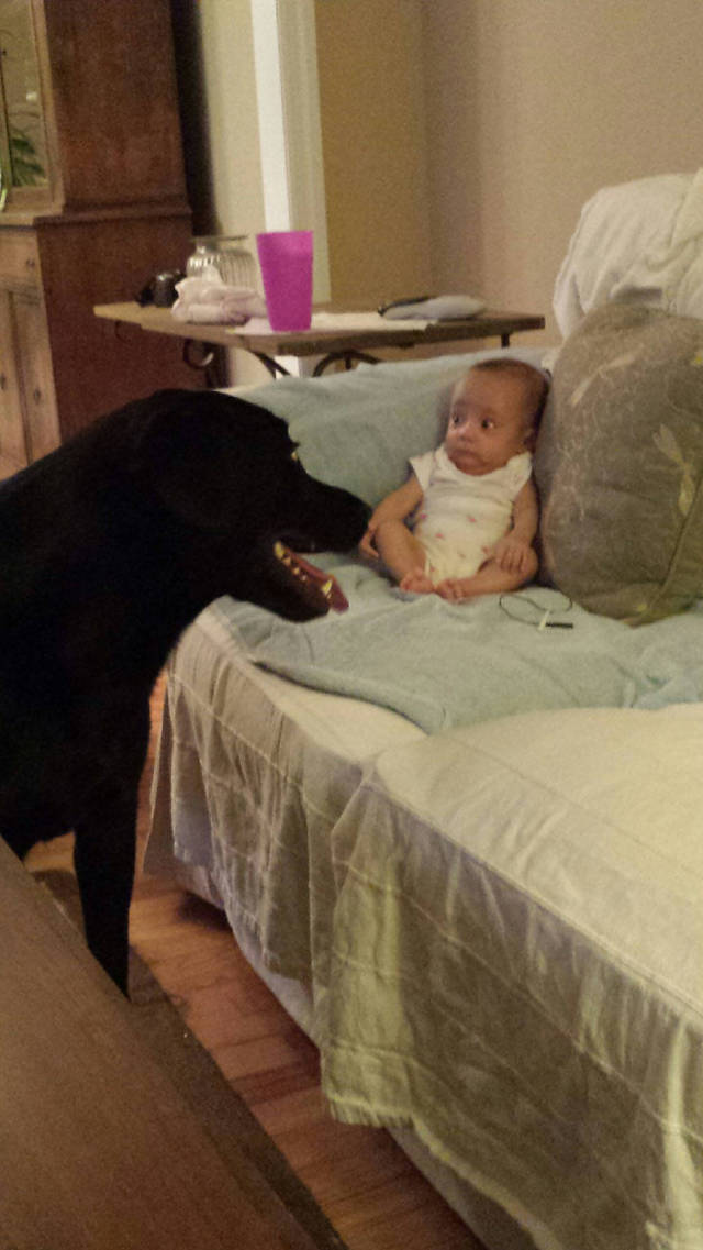 Morning Picdump