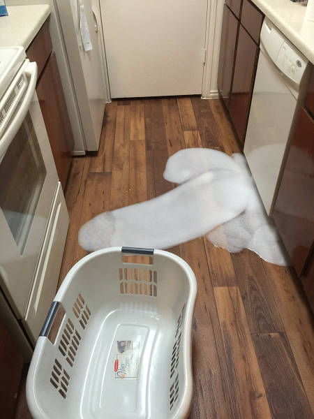 Morning Picdump