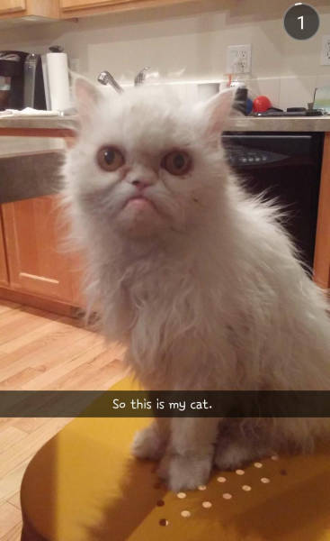 Morning Picdump