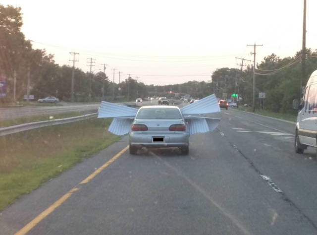 Morning Picdump