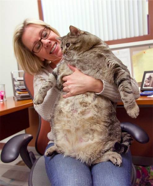 Morning Picdump