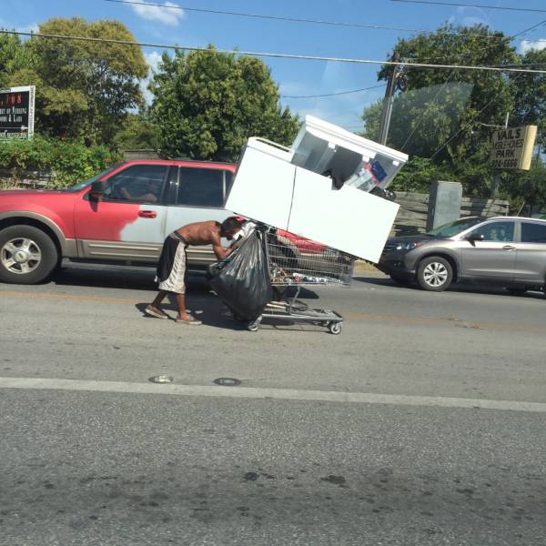 Morning Picdump