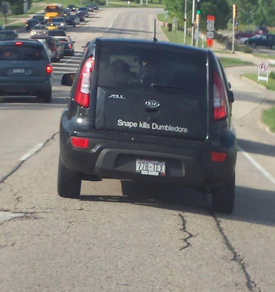 Morning Picdump