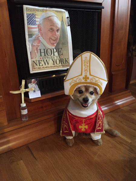 Morning Picdump