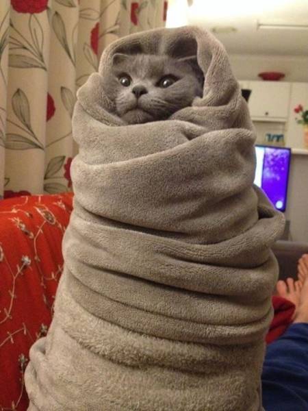 Morning Picdump