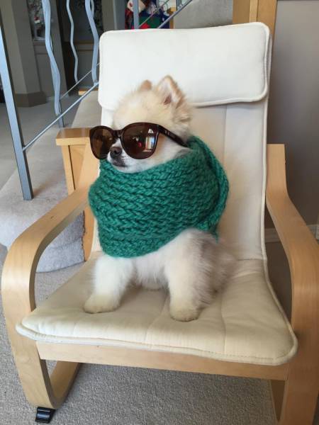 Morning Picdump