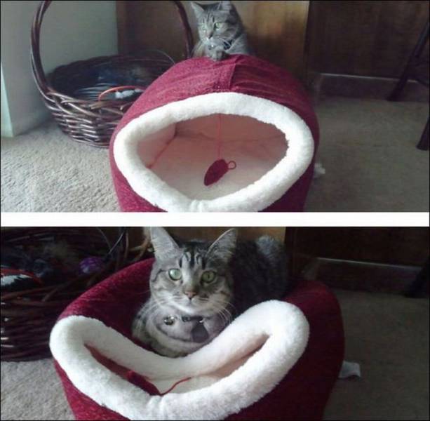 Daily Picdump