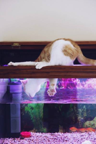 Daily Picdump