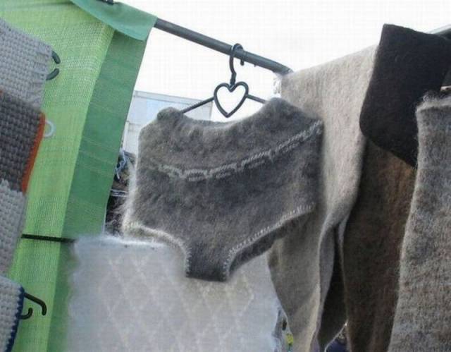 Daily Picdump