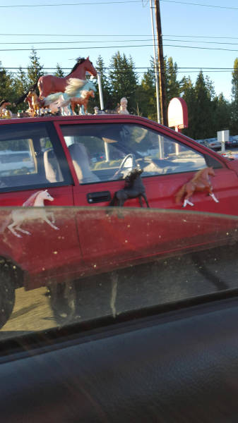 Morning Picdump