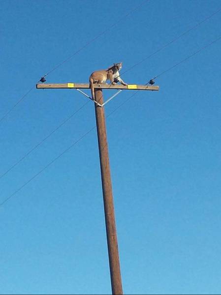 Morning Picdump