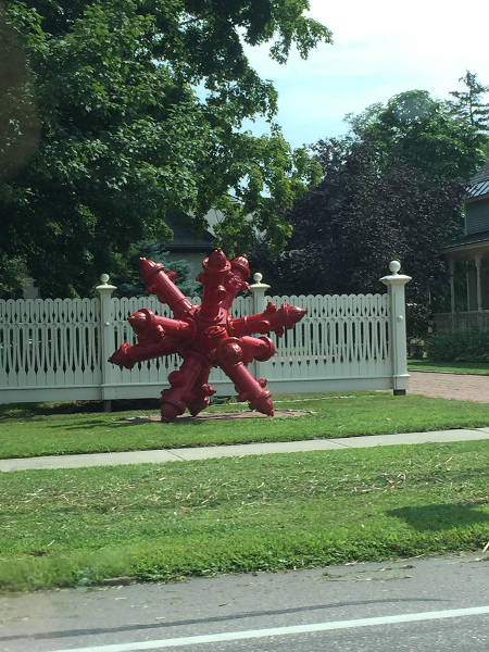 Morning Picdump