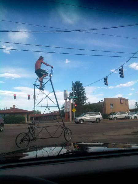 Morning Picdump