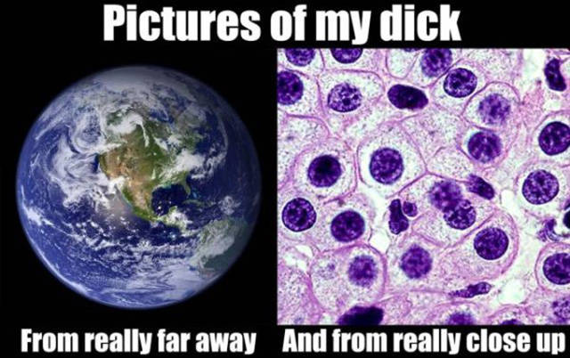 Everyone Loves a Good Dirty Joke