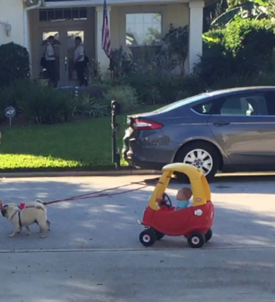 Morning Picdump