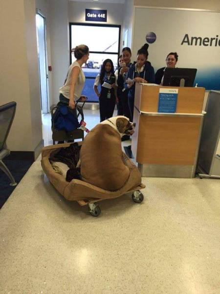 Morning Picdump