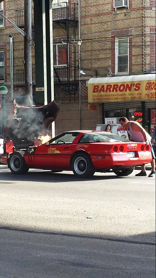 Morning Picdump