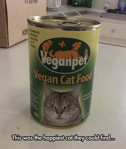 Funny Picdump