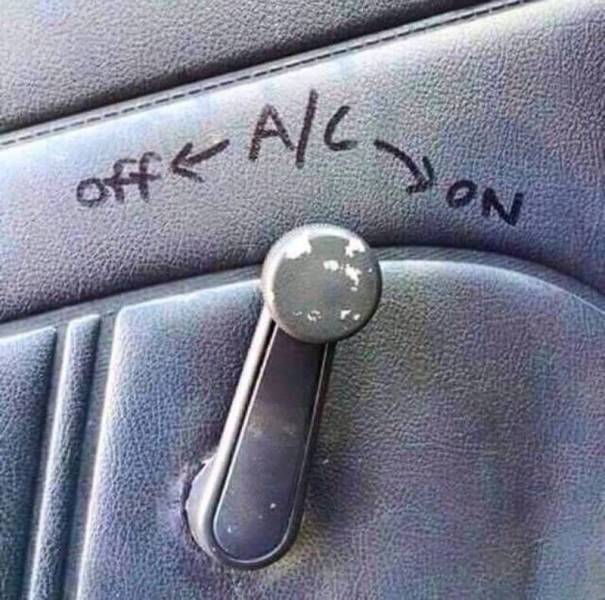 Daily Picdump