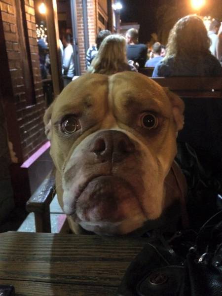 Morning Picdump