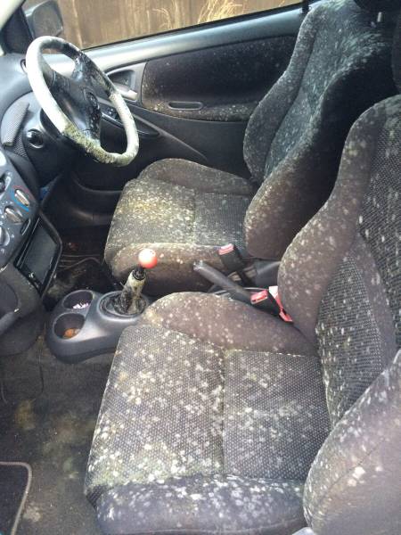 Morning Picdump