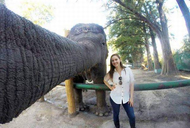 Daily Picdump