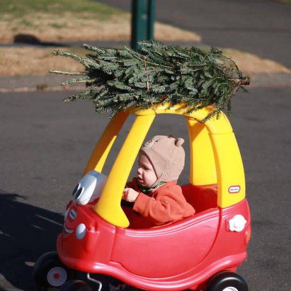 Daily Picdump