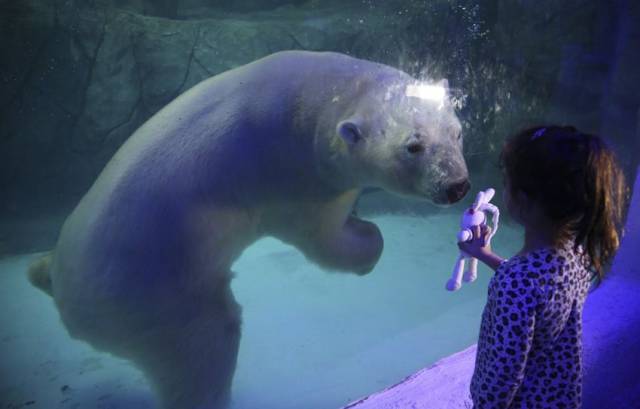Daily Picdump