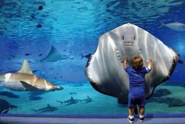 Daily Picdump