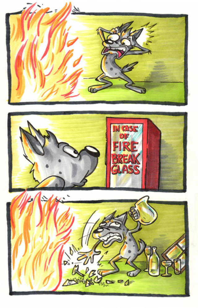 Funny Picdump