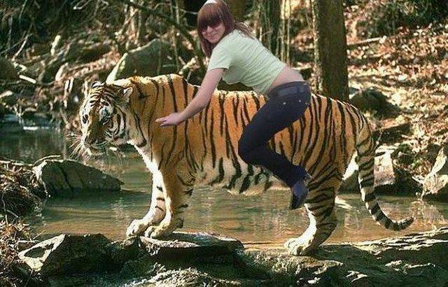 Daily Picdump