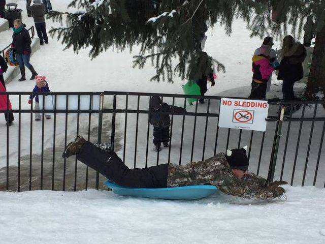 Daily Picdump