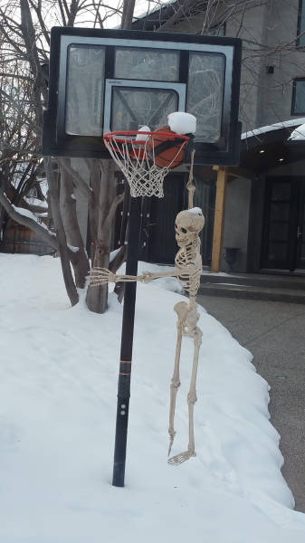 Morning Picdump