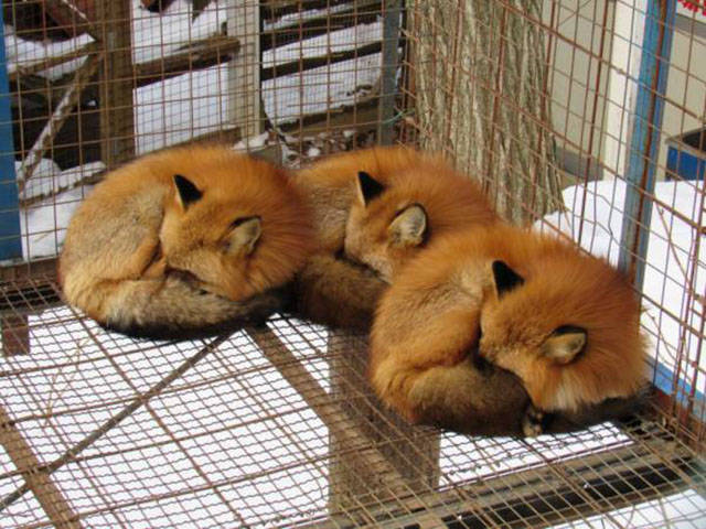 Morning Picdump
