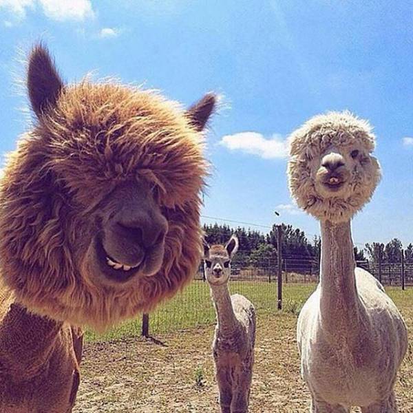 Morning Picdump