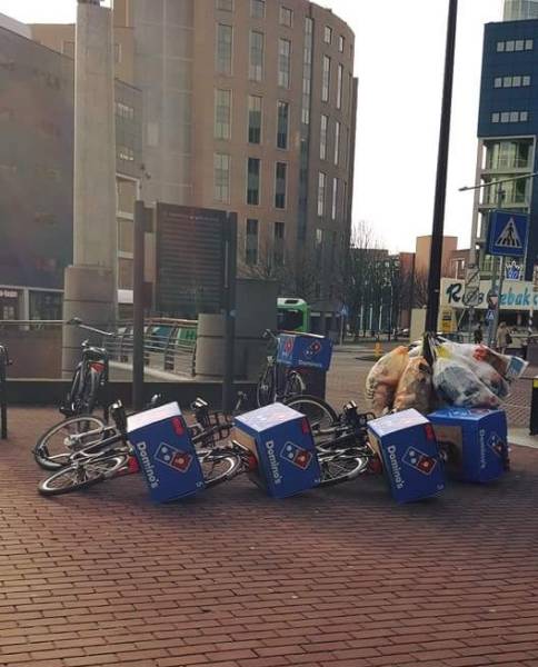 Morning Picdump