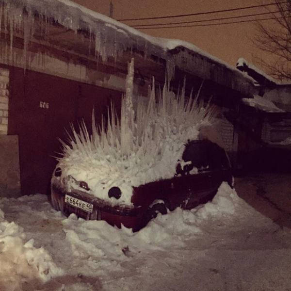 Morning Picdump