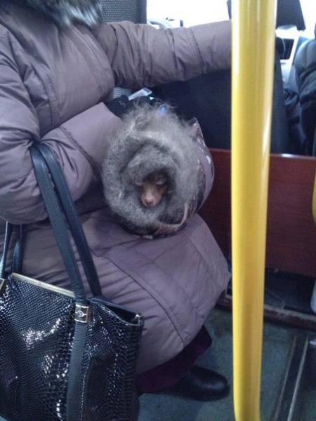 Morning Picdump