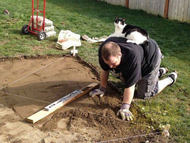 Morning Picdump