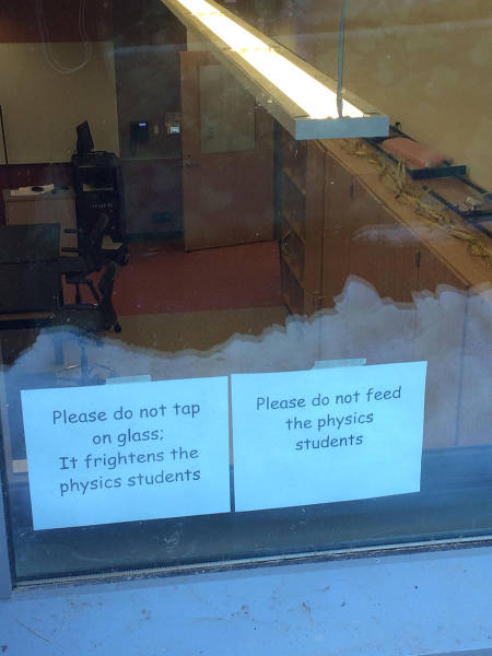 Morning Picdump