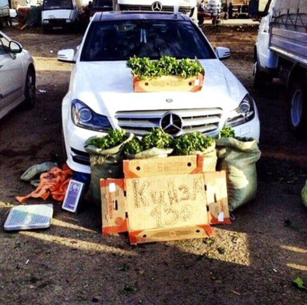 Morning Picdump