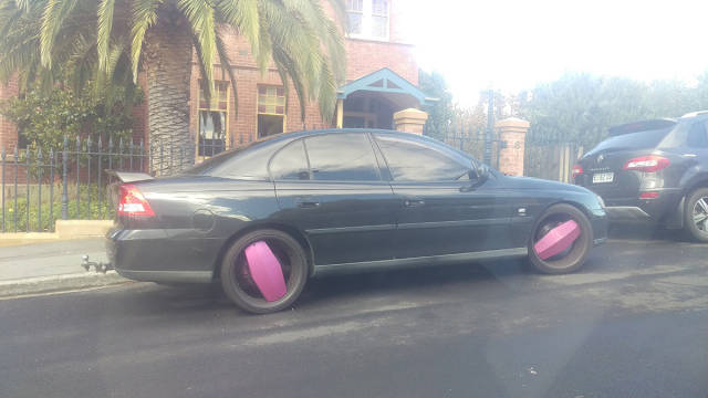 Morning Picdump