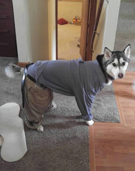 Morning Picdump