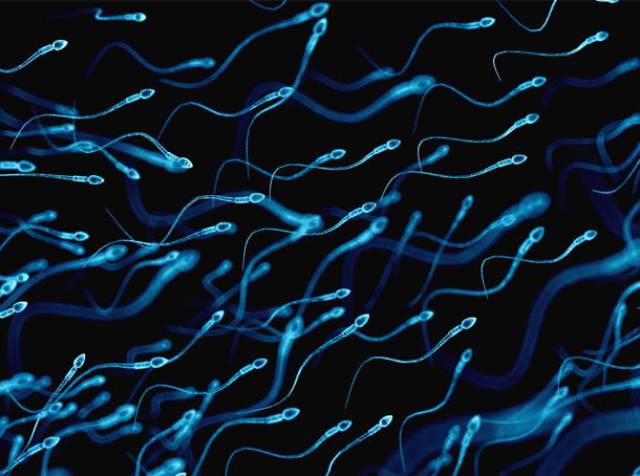 Odd And Bizarre Bits Of Knowledge About Sex