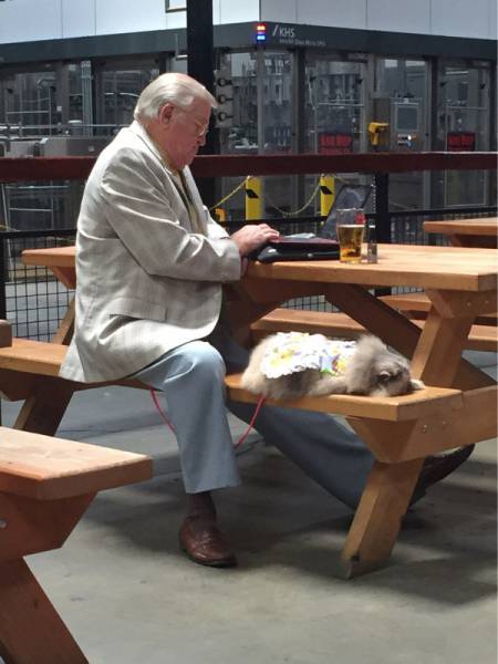 Morning Picdump