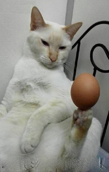 Morning Picdump