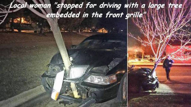 Another Batch Of Photos With Road Funnies