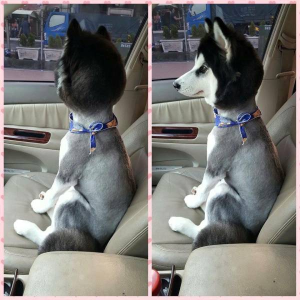 Morning Picdump